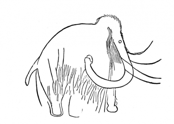 Cave Art Mammoth coloring page image
