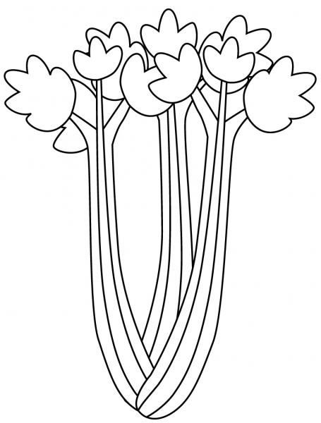Celery coloring page image