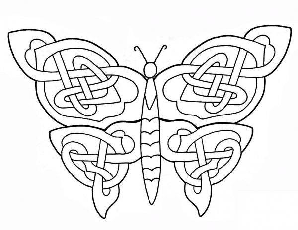 Celtic Butterfly Design coloring page image