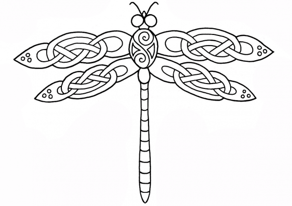 Celtic Dragonfly Design coloring page image