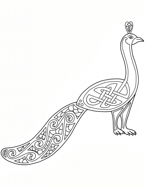 Celtic Peacock Design coloring page image