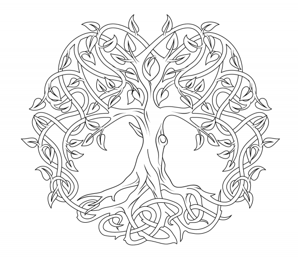 Celtic Tree of Life coloring page image