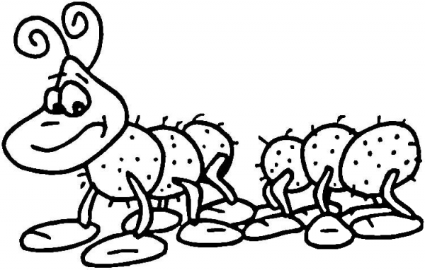 Centipede  coloring page image