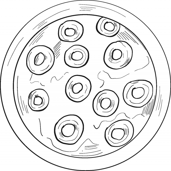 Cereal Bowl coloring page image