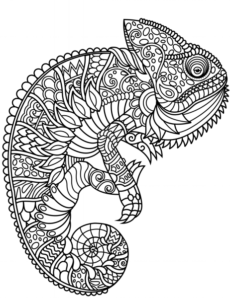 Chameleon Zentangle coloring page image