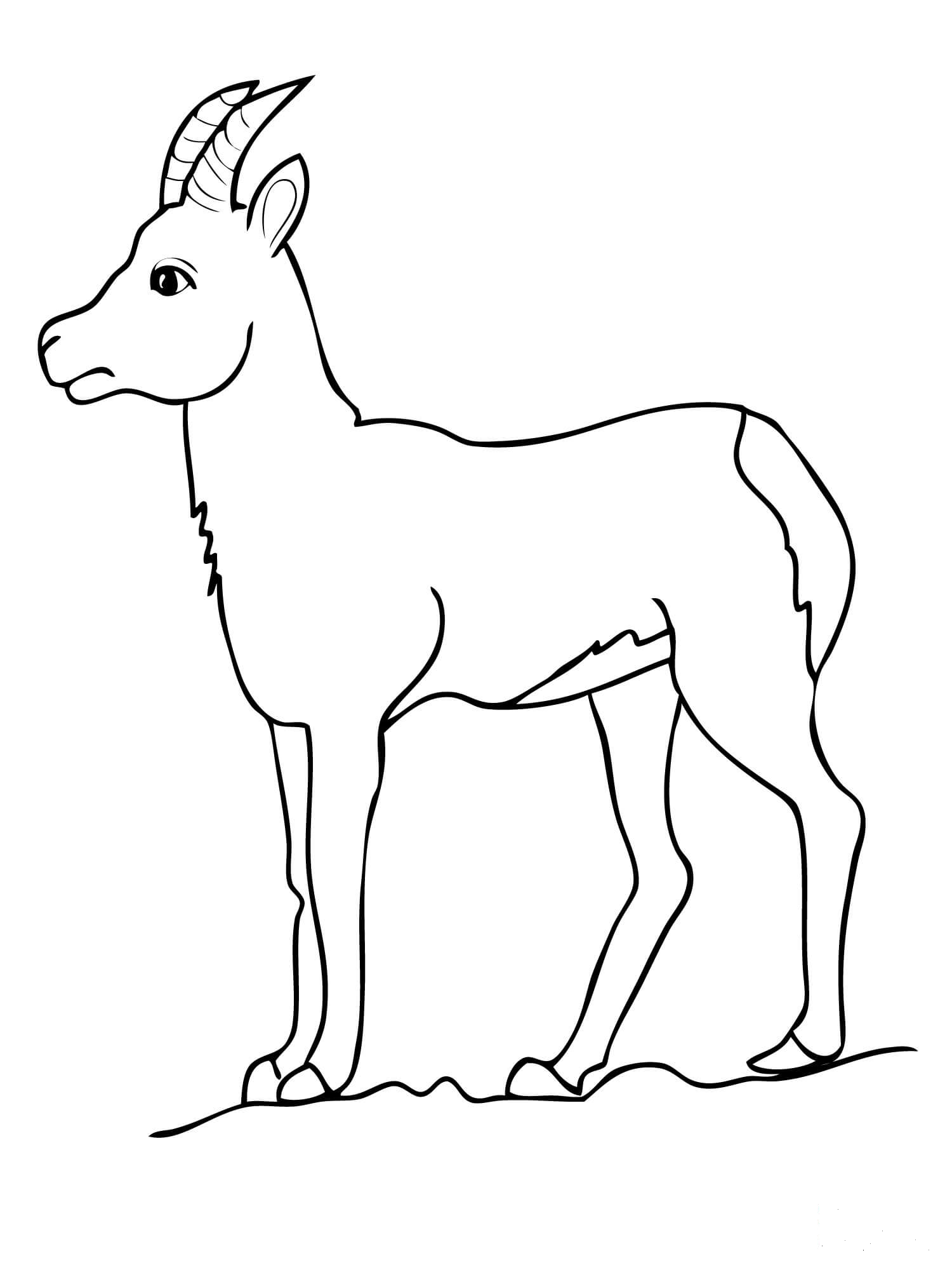 Chamois Goat Antelope coloring page - ColouringPages