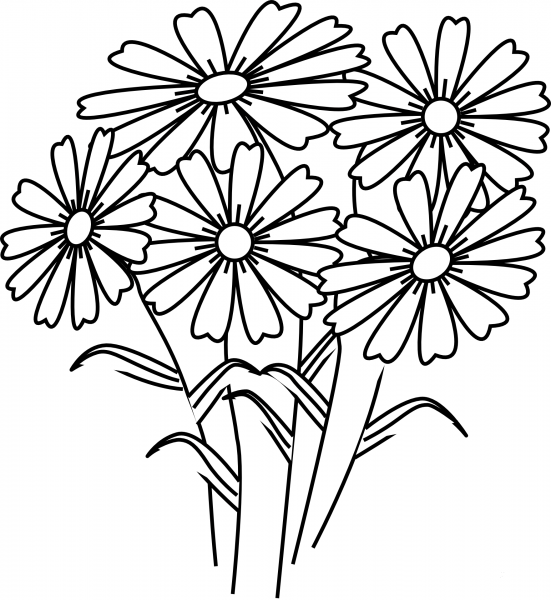 Chamomile Flowers coloring page image