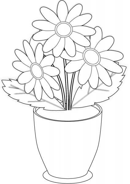 Chamomile Flowers in Pot coloring page image