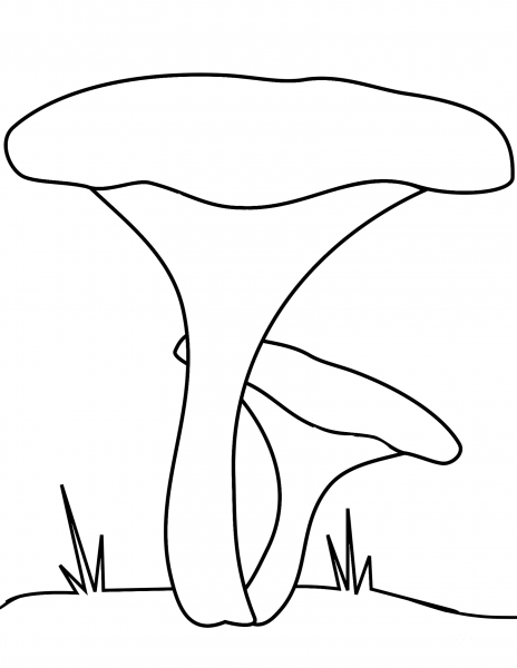 Chanterelle Mushrooms coloring page image