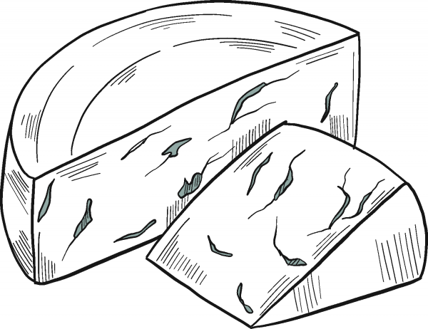 Cheese coloring page image