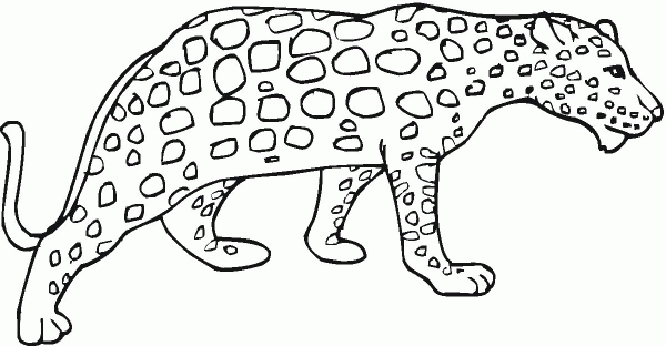 Cheetah 8 coloring page image