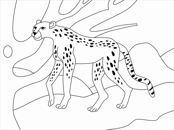 Cheetah coloring page image