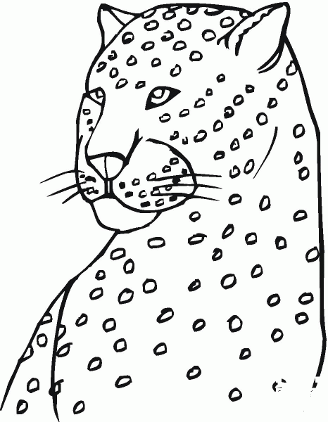 Cheetah Head coloring page image