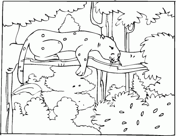 Cheetah Sleep in the Forest coloring page image