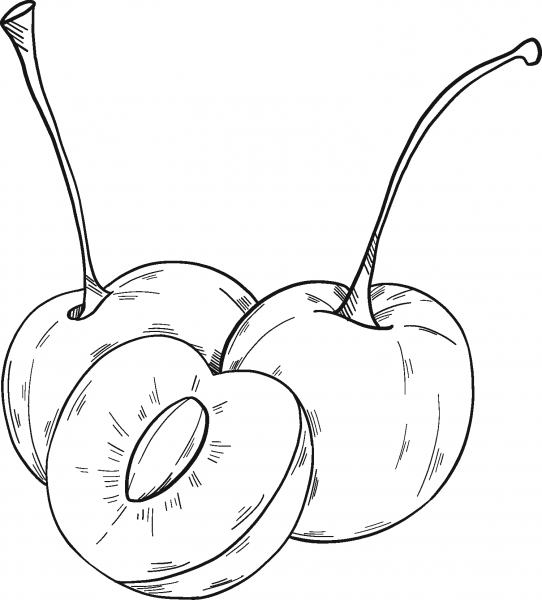 Cherries coloring page image