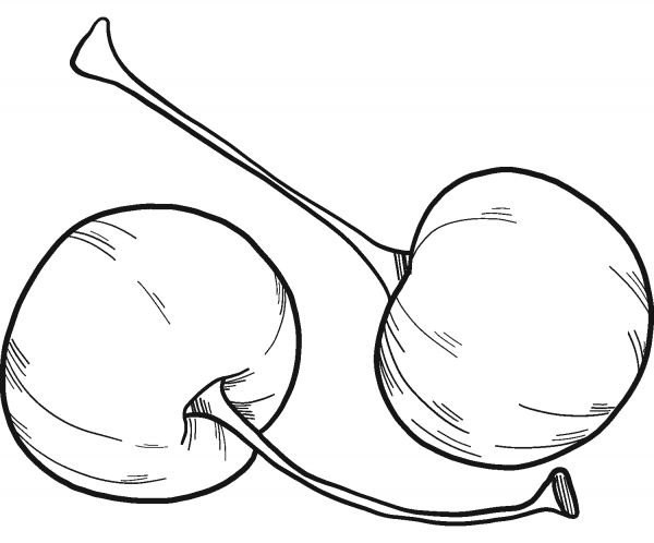 Cherries coloring page image