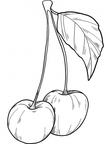 Cherries coloring page image