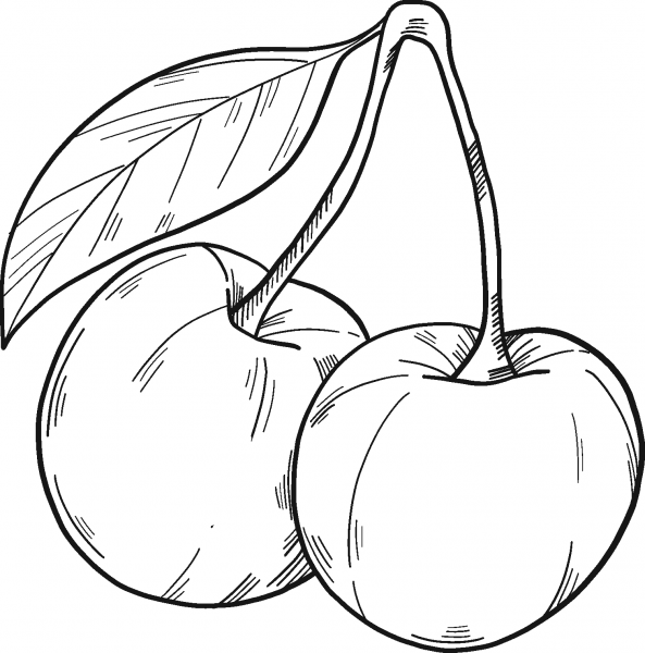 Cherries coloring page image