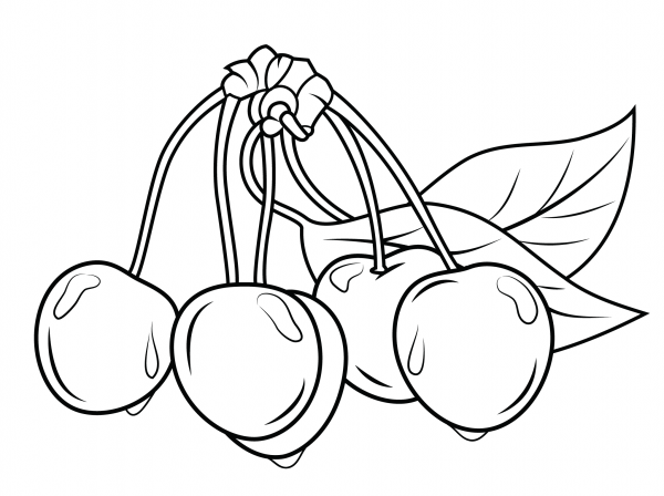 Cherries with Leaves coloring page image