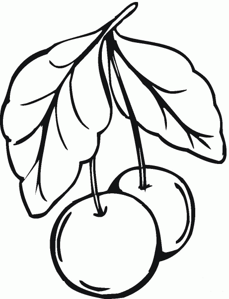 Cherry coloring page image