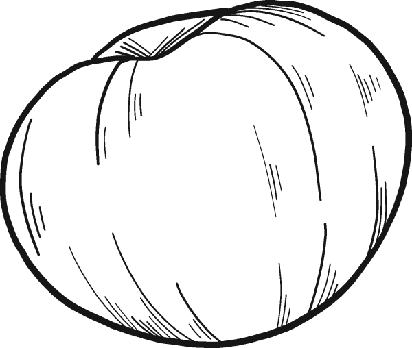 Cherry coloring page image