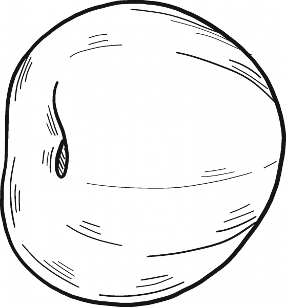Cherry coloring page image