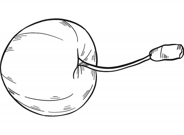Cherry coloring page image
