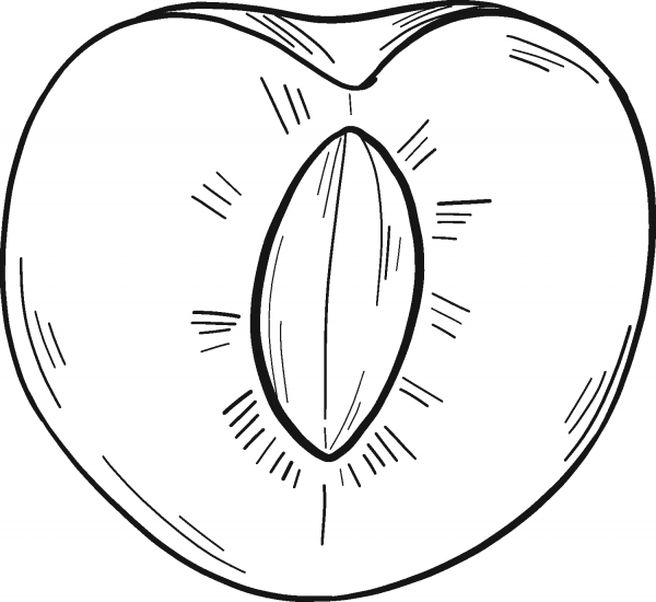 Cherry cut in half coloring page image