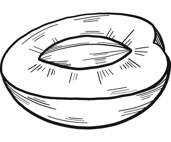 Cherry cut in half coloring page image