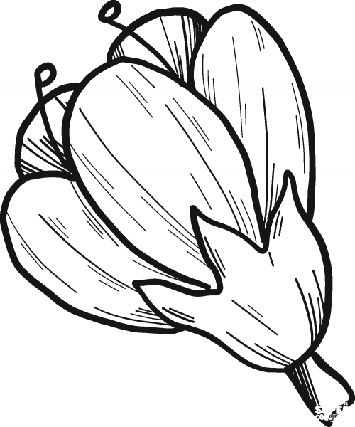 Cherry Flower coloring page image