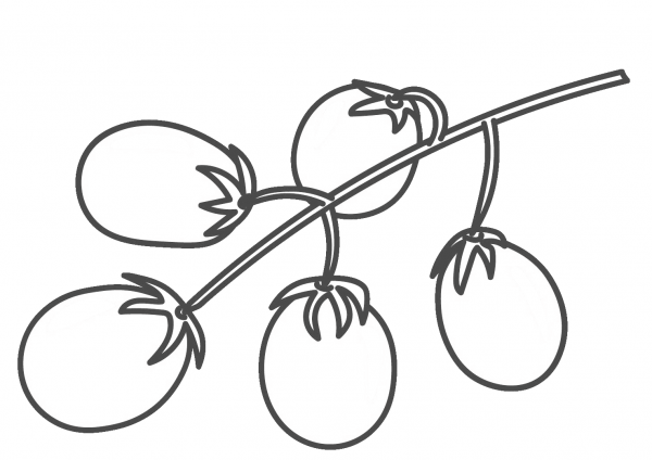Cherry Tomato coloring page image