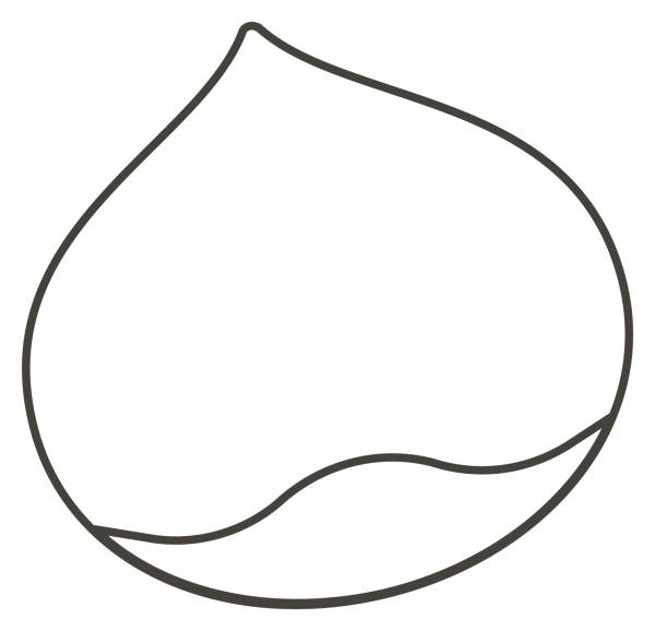 Chestnut coloring page image