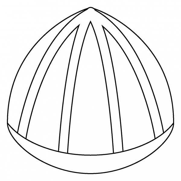 Chestnut Emoji coloring page image