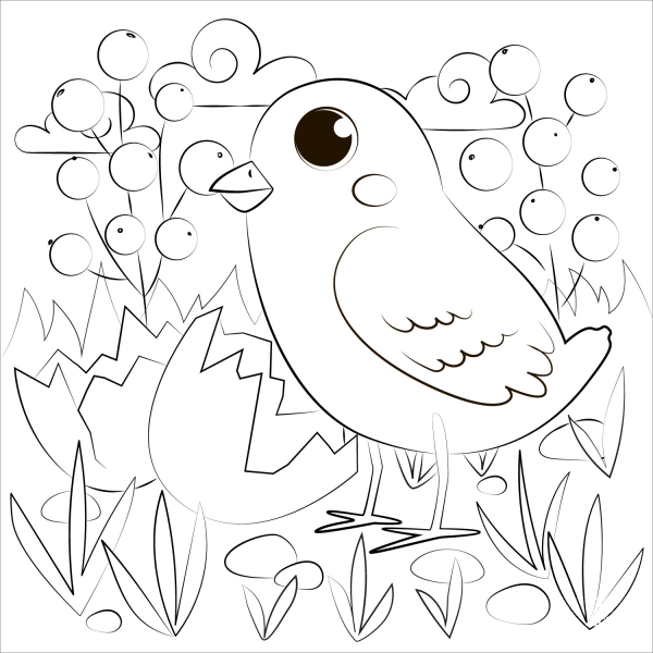 Chick coloring page image