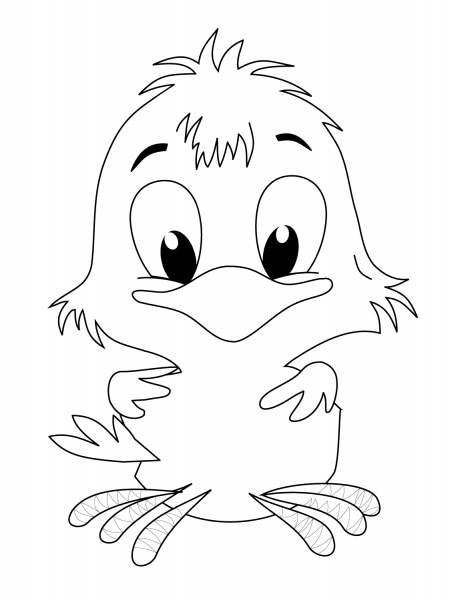 Chick coloring page image