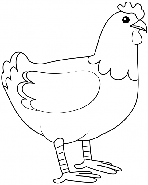 Chicken coloring page image