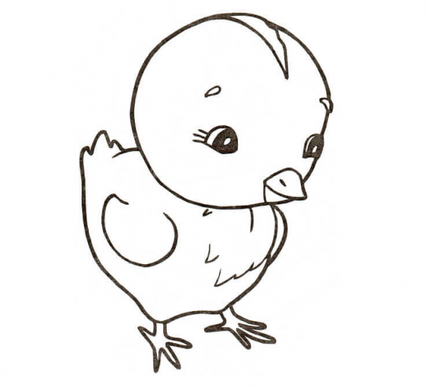 Chicken coloring page image