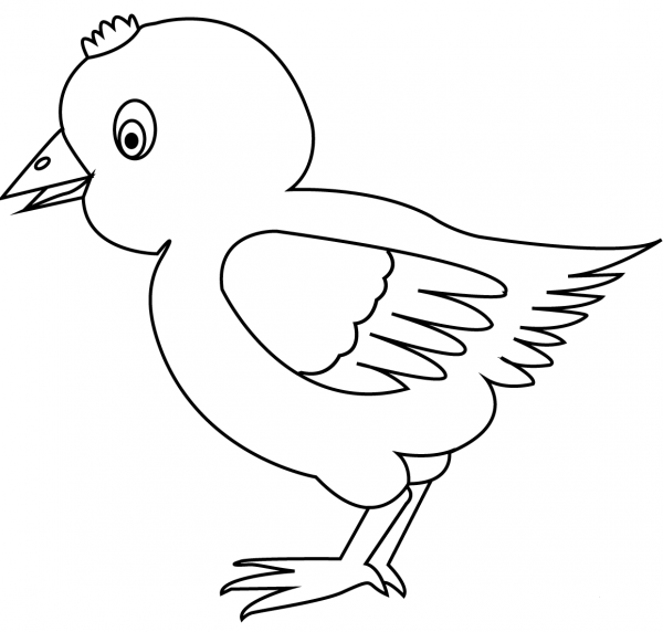 Chicken coloring page image