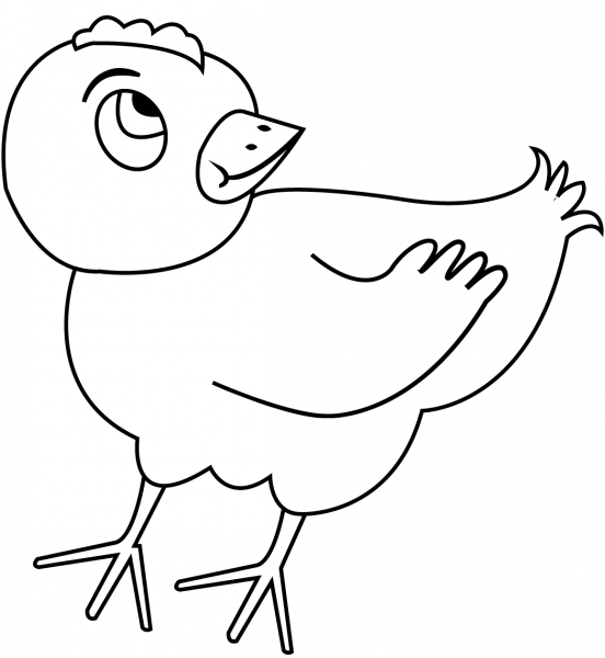 Chicken coloring page image