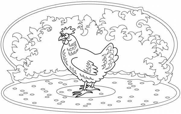Chicken coloring page image