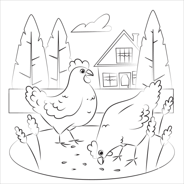 Chicken coloring page image