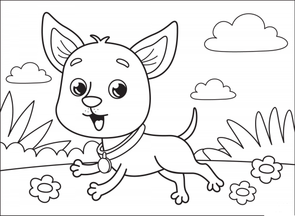 Chihuahua coloring page image