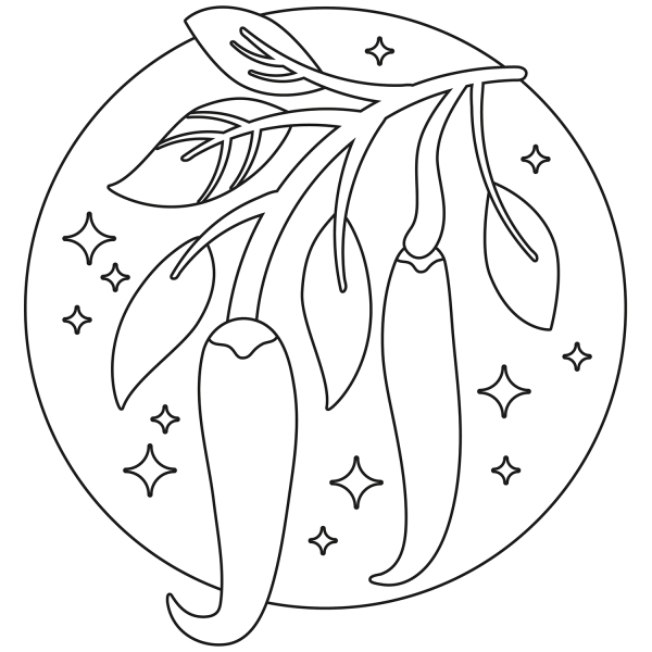 Chili coloring page image