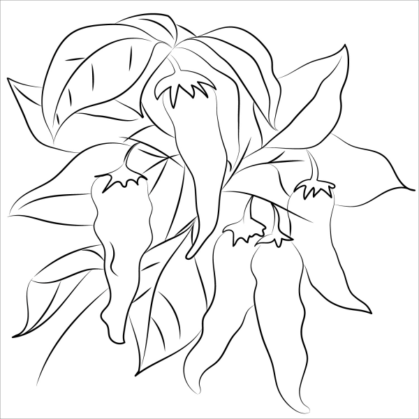 Chili coloring page image