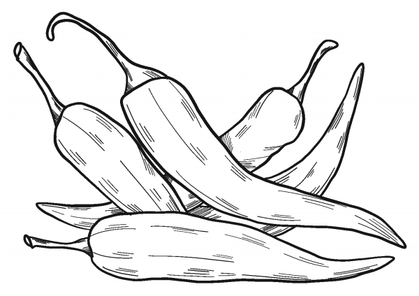 Chili peppers coloring page image