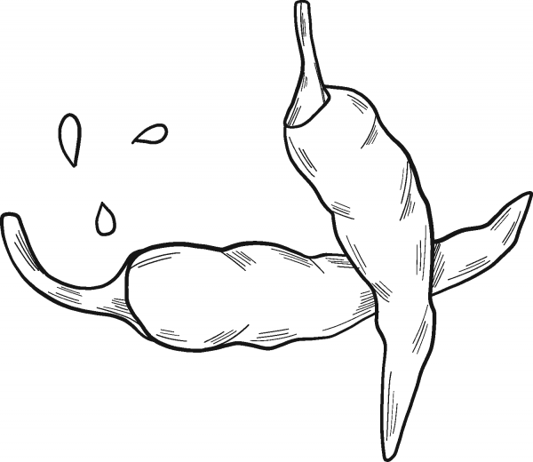 Chili peppers coloring page image