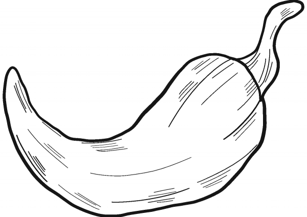 Chilli coloring page image