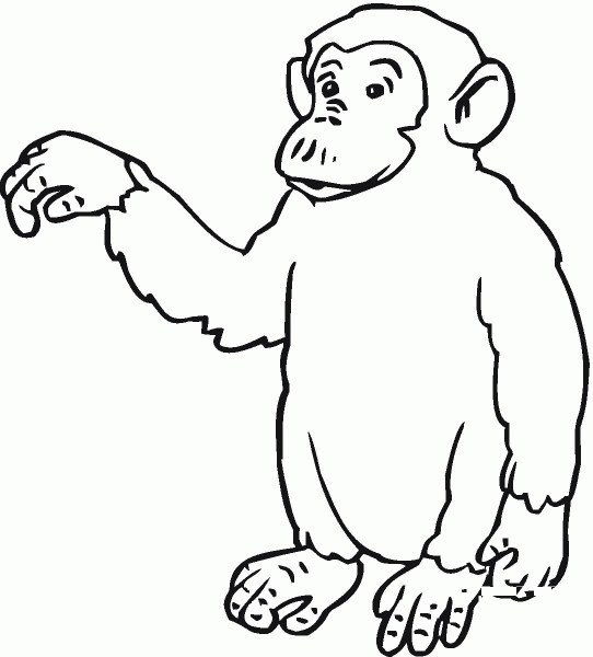 Chimp Says Hi coloring page image
