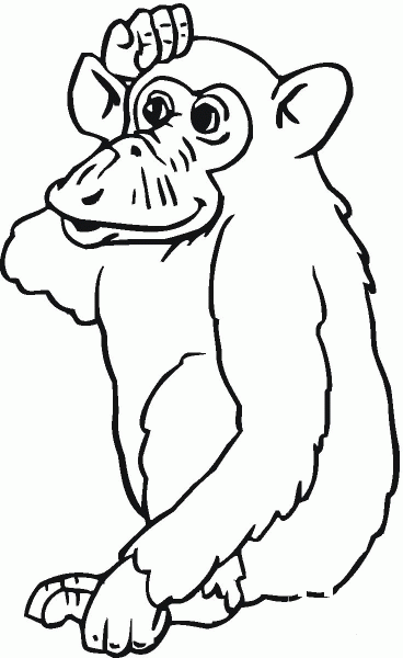 Chimpanzee Is Thinking coloring page image