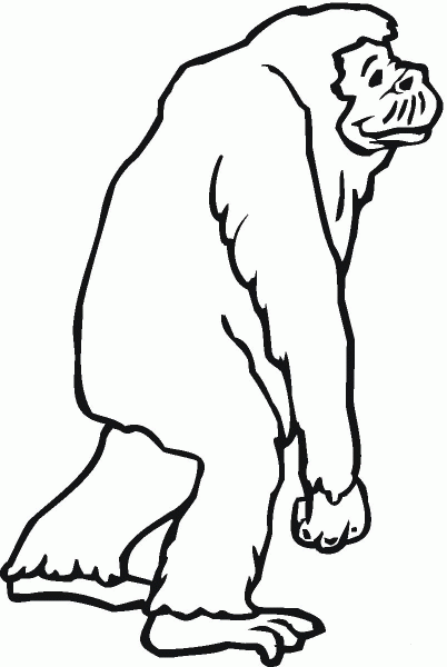 Chimpanzee Is Walking Away coloring page image